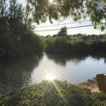 Torrent des lerns